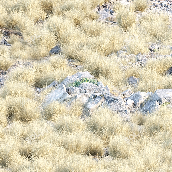 Wild Dry Grass Collection Vol.160 3D model image 2