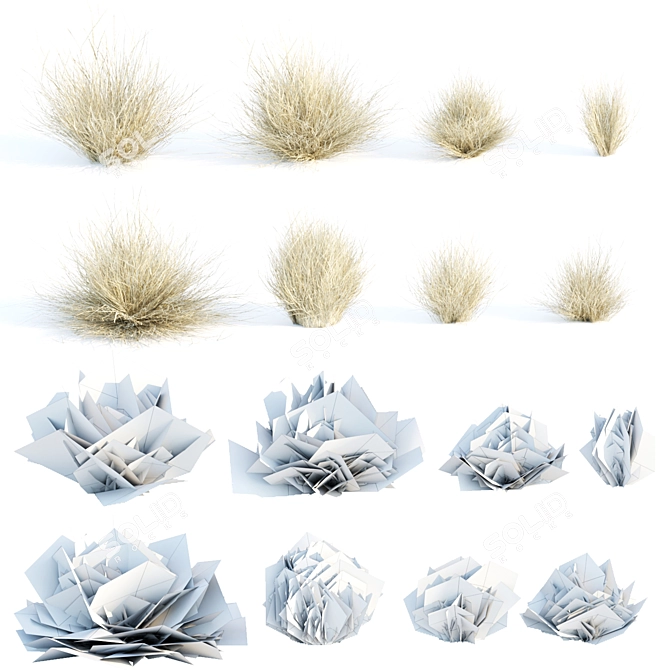 Wild Dry Grass Collection Vol.160 3D model image 4