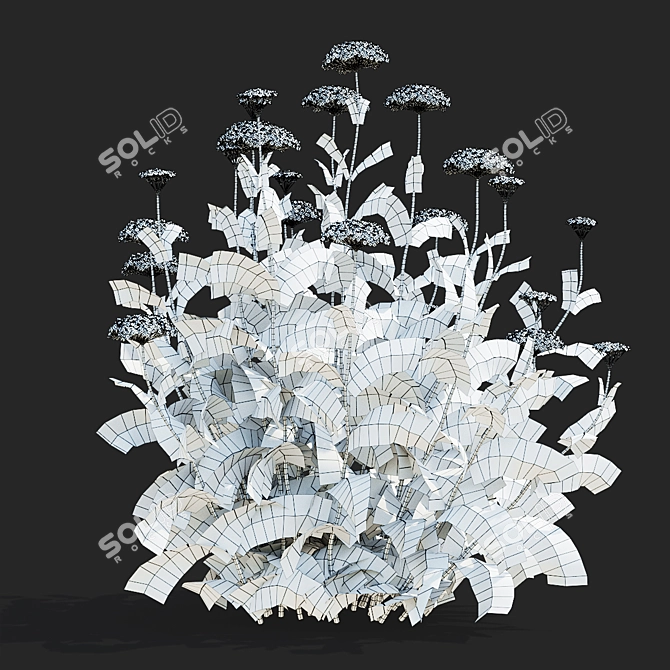 Filipendula Achillea 3D Flower Models 3D model image 5