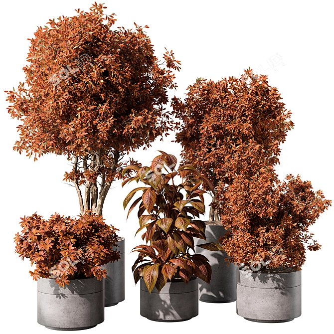 Indoor Greenery Duo - TreeBush 3D model image 1