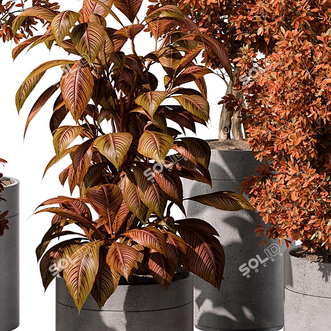 Indoor Greenery Duo - TreeBush 3D model image 2