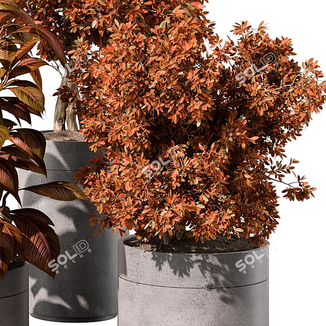 Indoor Greenery Duo - TreeBush 3D model image 3