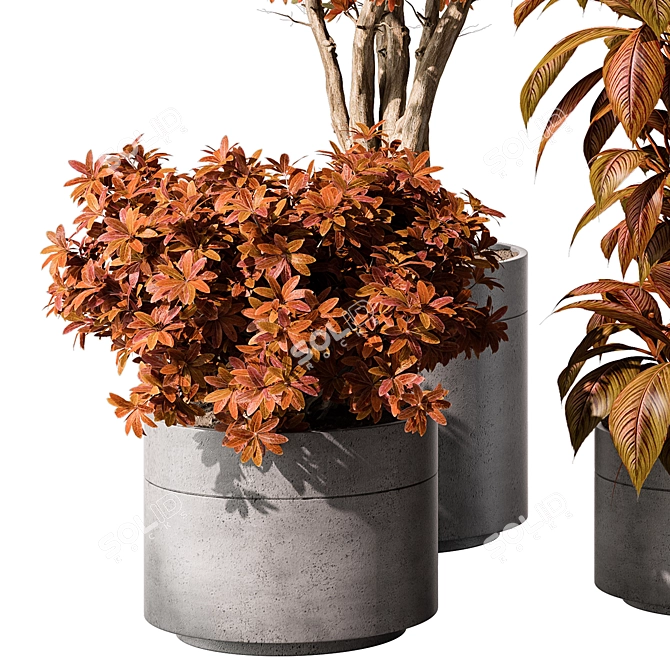 Indoor Greenery Duo - TreeBush 3D model image 4