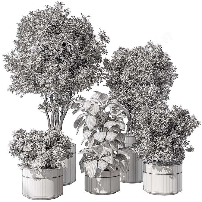 Indoor Greenery Duo - TreeBush 3D model image 6