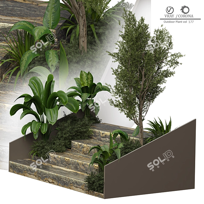 2015 Outdoor Plant 177 3D Model 3D model image 2