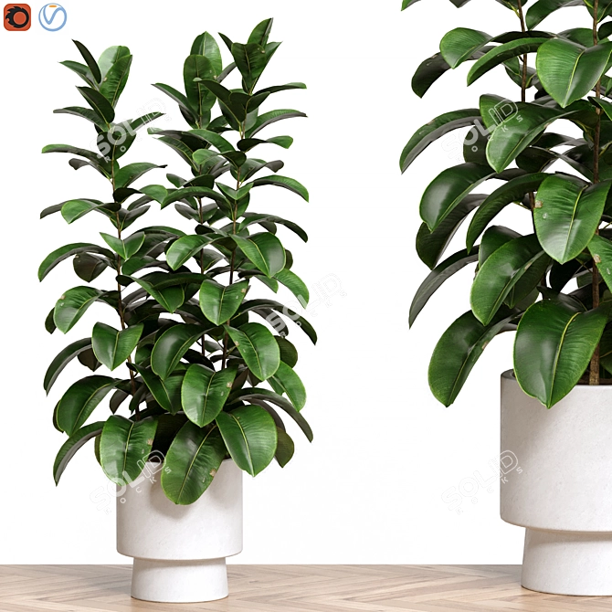 Nature 3D Plant Collection 91 3D model image 1