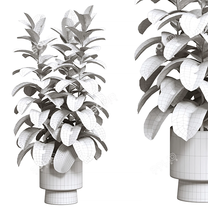 Nature 3D Plant Collection 91 3D model image 2