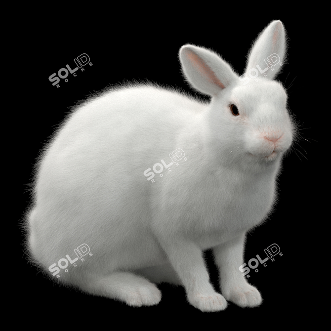 White Rabbit Model Virtual Asset 3D model image 1