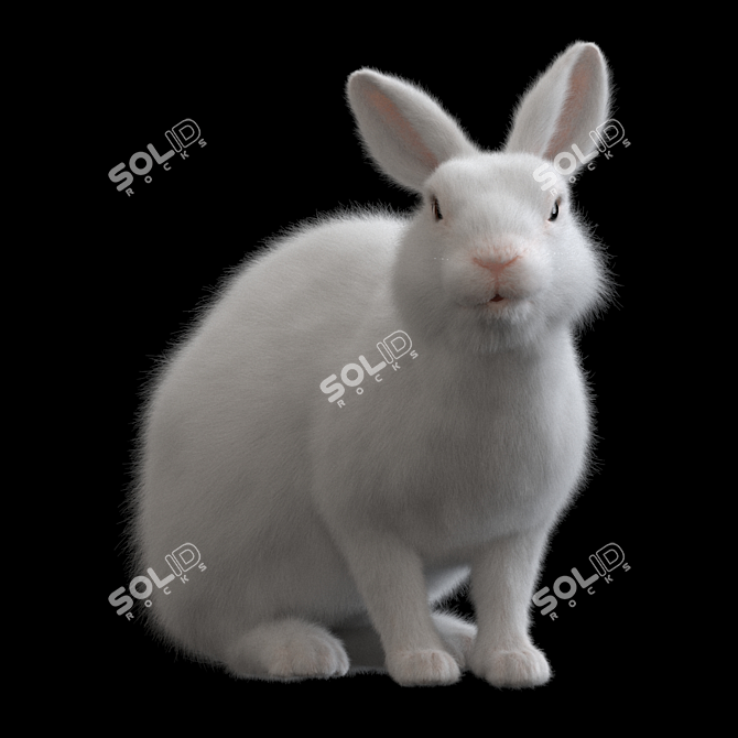 White Rabbit Model Virtual Asset 3D model image 2