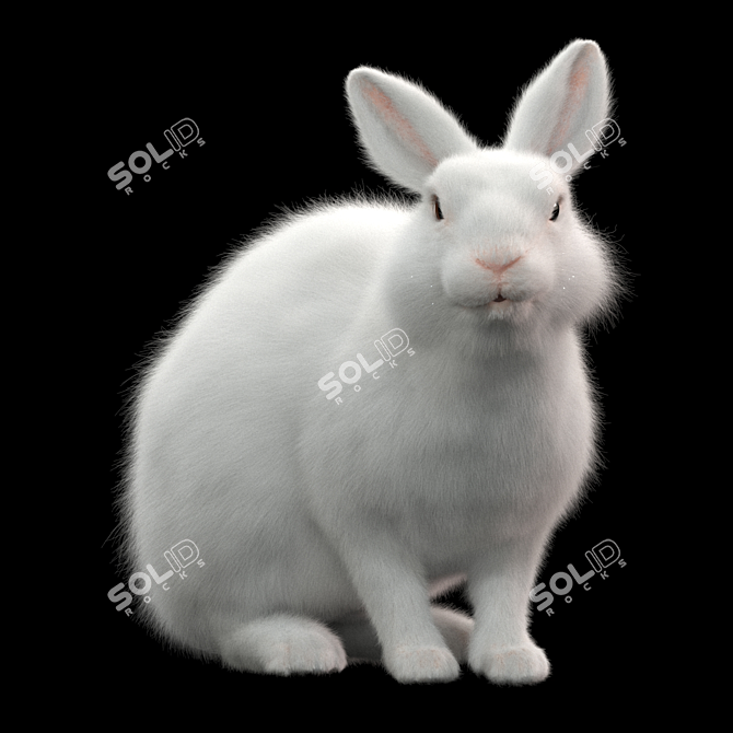 White Rabbit Model Virtual Asset 3D model image 7