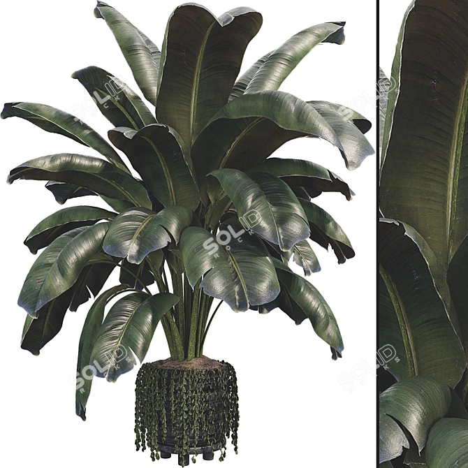 Modern Botanical Vase Set 3D model image 1