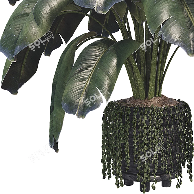 Modern Botanical Vase Set 3D model image 2