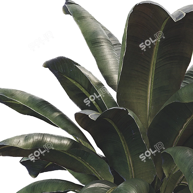 Modern Botanical Vase Set 3D model image 4