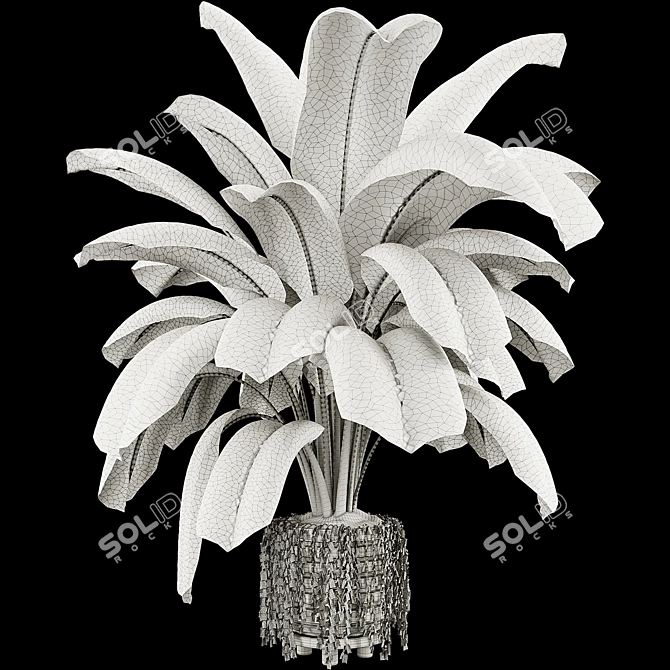 Modern Botanical Vase Set 3D model image 6