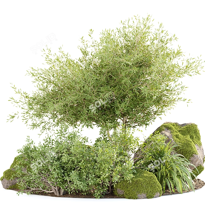 Mossy Garden Plants Bundle Vol.156 3D model image 1