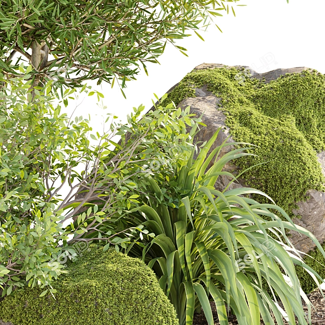 Mossy Garden Plants Bundle Vol.156 3D model image 2