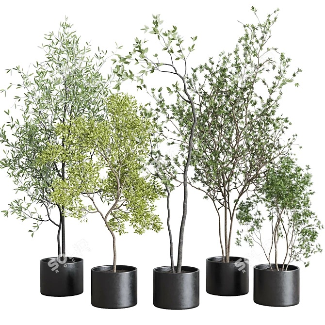 Gray Concrete Vase Plant Collection 3D model image 1