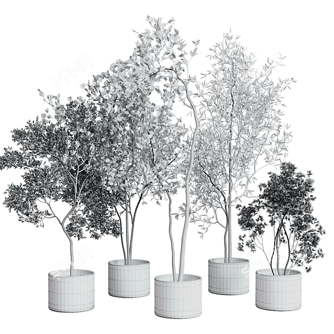 Gray Concrete Vase Plant Collection 3D model image 4