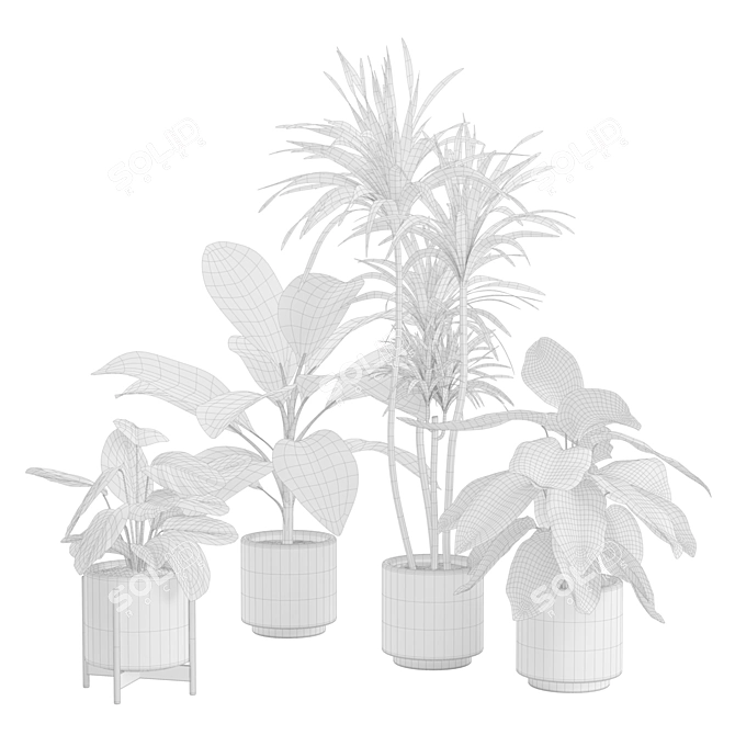 Exotic Indoor Plant Variety Pack 3D model image 2