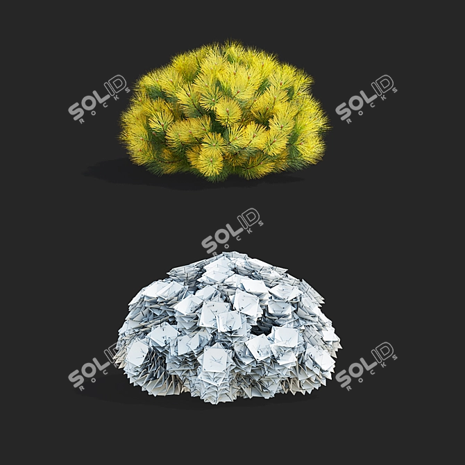 Mountain Pine Bushes 3D Models 3D model image 6