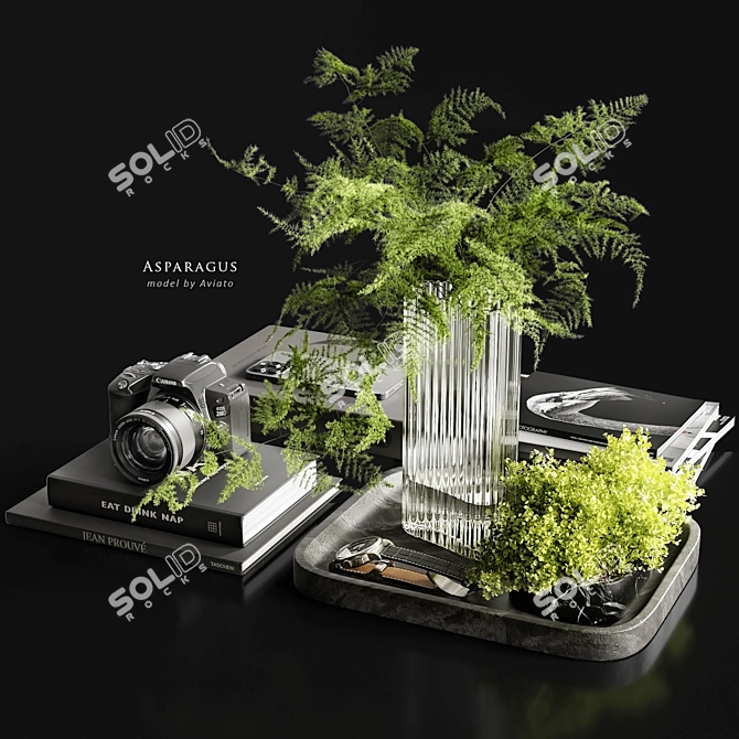 Asparagus Branches Set with Vase 3D model image 1