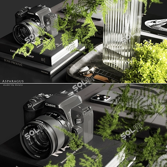 Asparagus Branches Set with Vase 3D model image 3