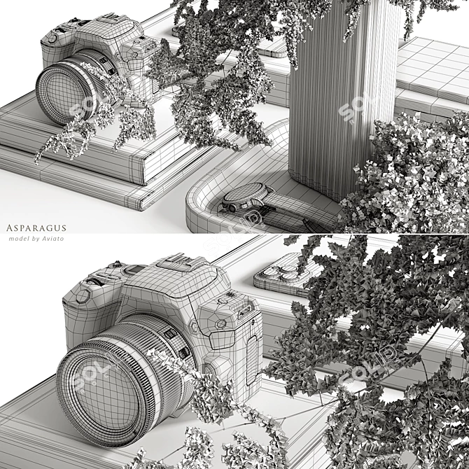 Asparagus Branches Set with Vase 3D model image 6