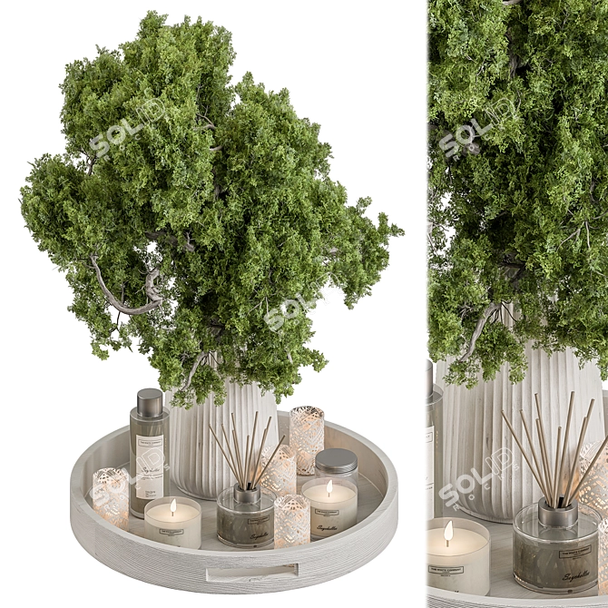 Modern Elegance Vase Plant Set 3D model image 1