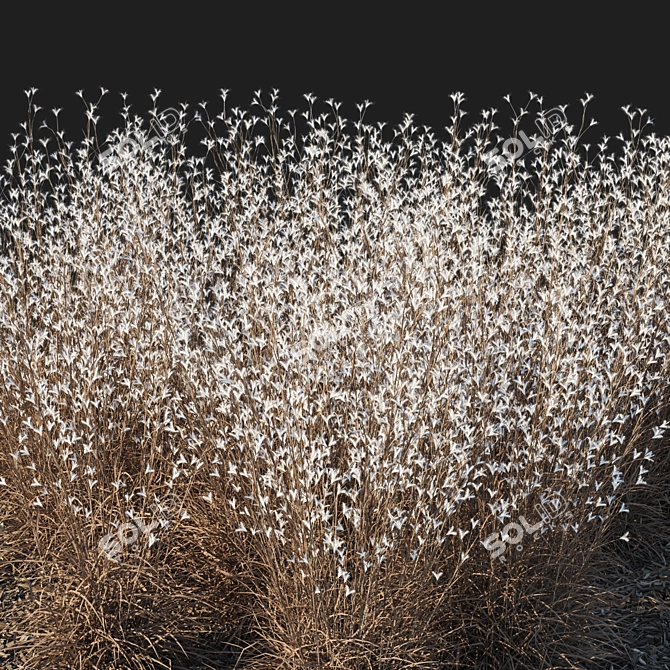 Mountain Bluestem Dry 2016 Render 3D model image 3