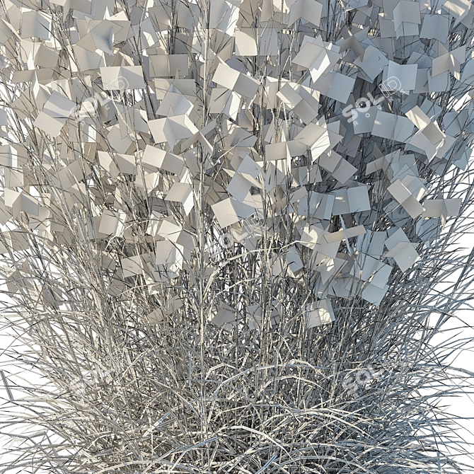 Mountain Bluestem Dry 2016 Render 3D model image 4