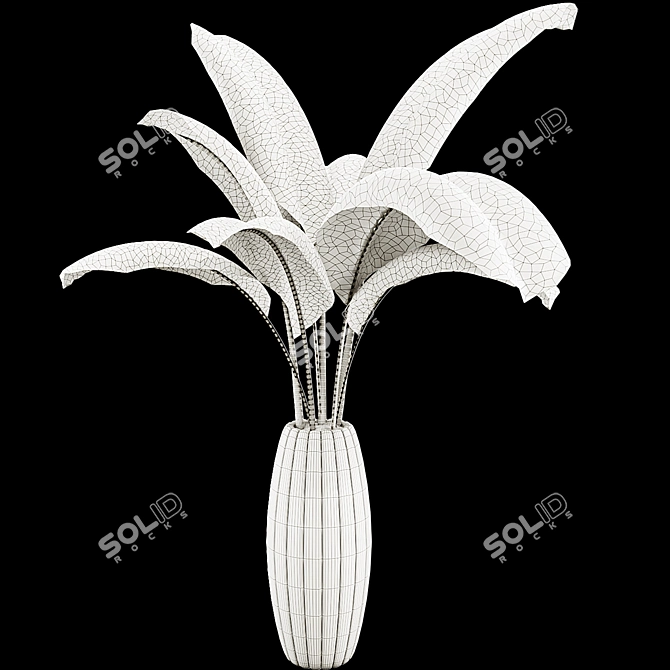 Banana Leaf Plant Collection Set 3D model image 5
