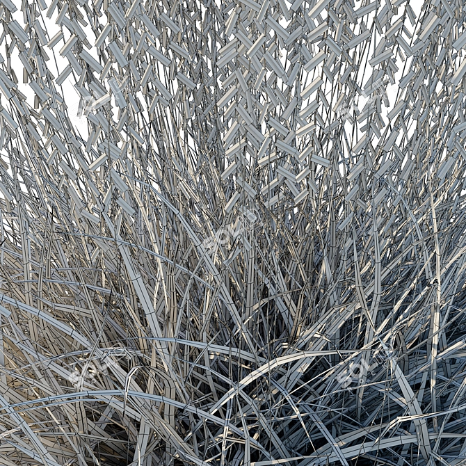 Sideoats Grama Grass Model 2016 3D model image 4