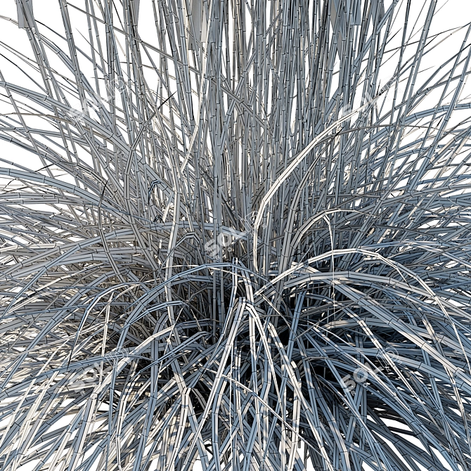 Sleek Little Bluestem Grass Model 3D model image 4
