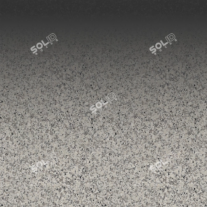 Roughness Seamless Stone Texture 3D model image 2