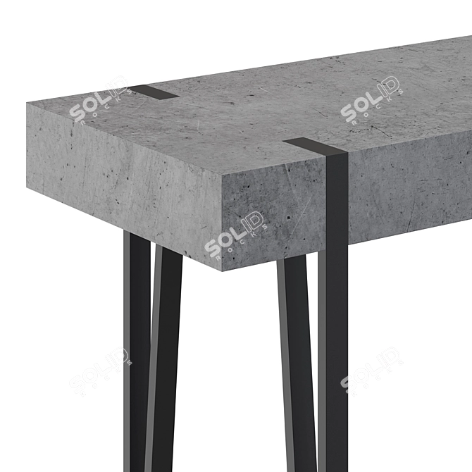 Adena Industrial Console Table 3D model image 2