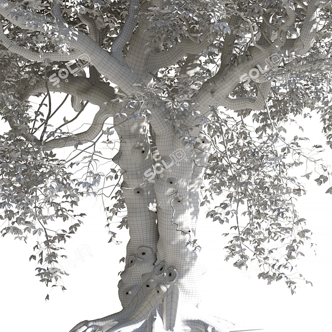 3D Tree Model - Corona/Vray 3D model image 4