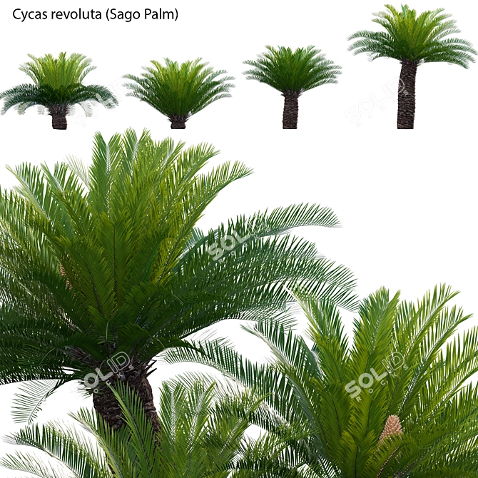Complete 3D Plant Models Kit 3D model image 1