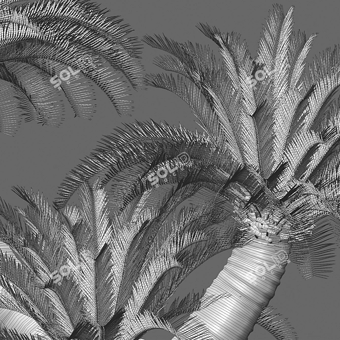 Complete 3D Plant Models Kit 3D model image 4