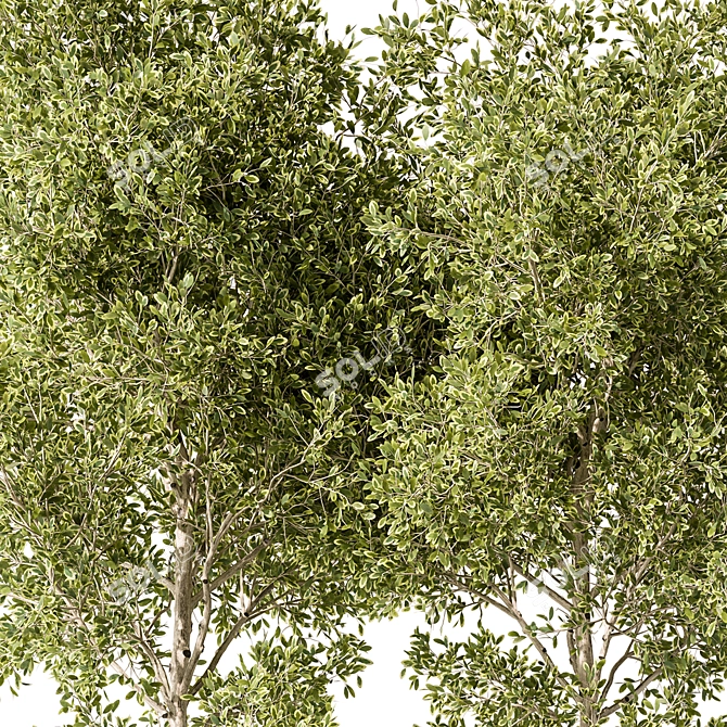 Blossom Your Garden with 474 Outdoor Plants 3D model image 3