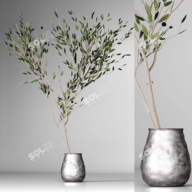 Minimalistic Plant Model 2015 3D model image 2