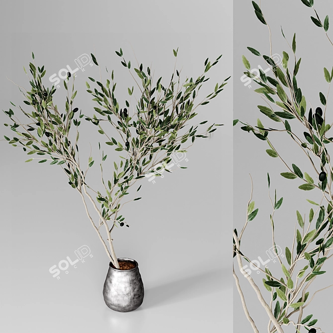 Minimalistic Plant Model 2015 3D model image 3