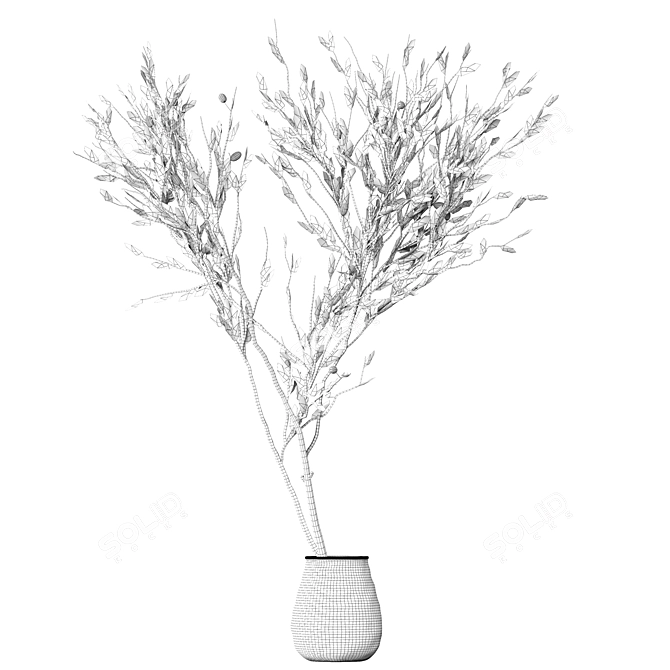 Minimalistic Plant Model 2015 3D model image 4