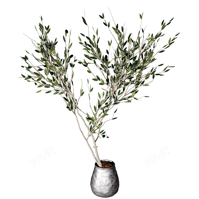 Minimalistic Plant Model 2015 3D model image 5