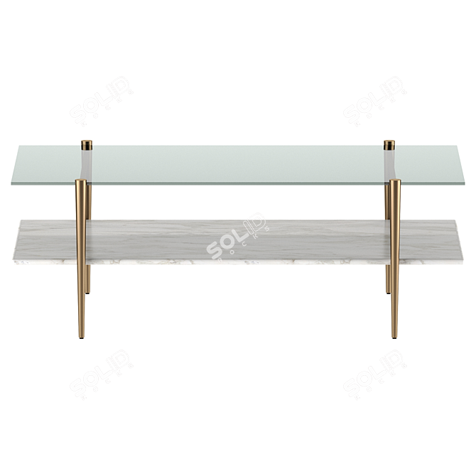 Mid-Century Marble Art Display Coffee Table 3D model image 1