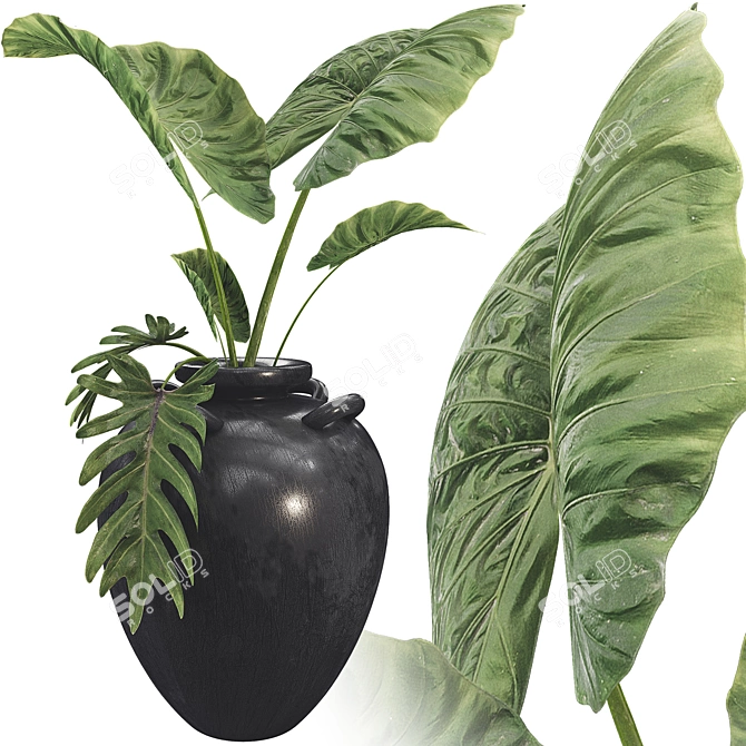 Botanical 3D Plant Collection Set 3D model image 1