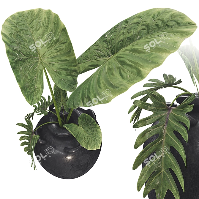 Botanical 3D Plant Collection Set 3D model image 5