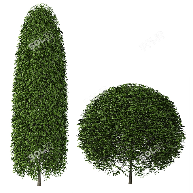 Spherical Bushes Set 3D model image 1