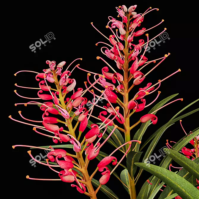 Luxury Plant Model 27 3D model image 3