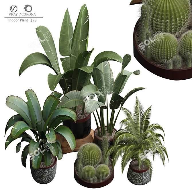 Artificial Indoor Plant 3D Model 3D model image 2