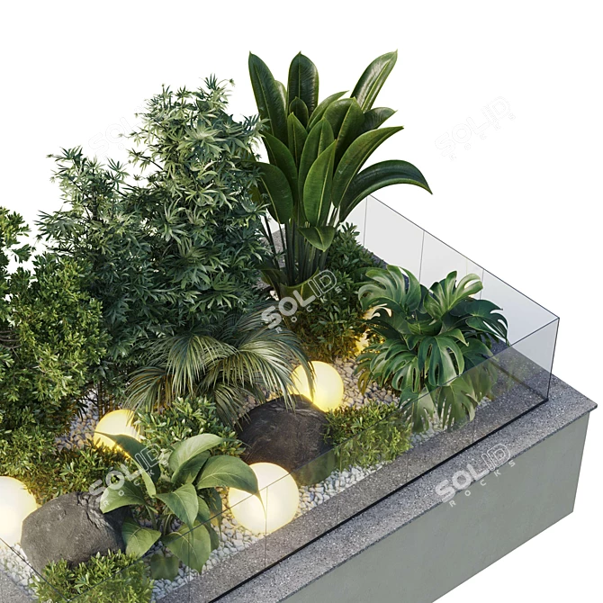 Glass-Encased Indoor Plant Model 3D model image 4